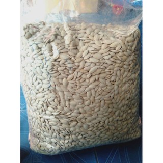 HẠT BÍ RANG MUỐI {500G}