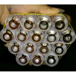 Lens đen, choco tự nhiên có sẵn