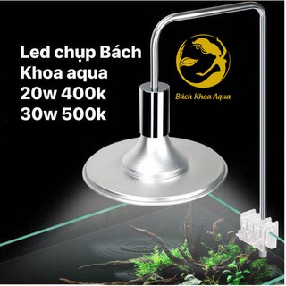 Đèn LED XIMA Led chụp 40W - Chuyên dụng cho bể thủy sinh