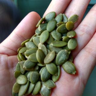 500GRAM NHÂN HẠT BÍ ẤN ĐỘ loại đẹp
