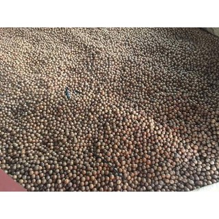Hạt Mắc ca khô 500gr