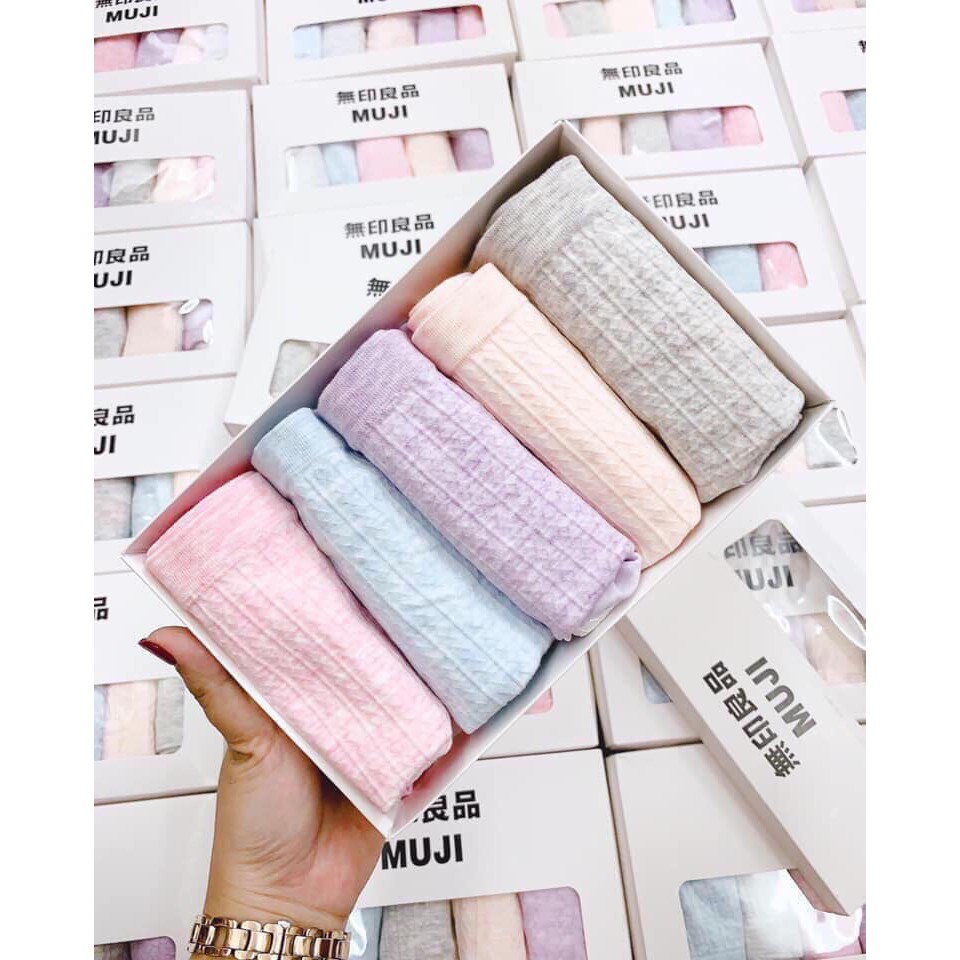 HỘP 5 Quần Lót Nữ Cotton Dệt Kim - Quần Chip Nữ kháng khuẩn thoáng mát cao cấp QL11