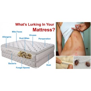 Tinh Dầu Xịt Giường Ngủ - Khử Mạt Bụi, Vi Khuẩn, An Toàn Sức Khỏe