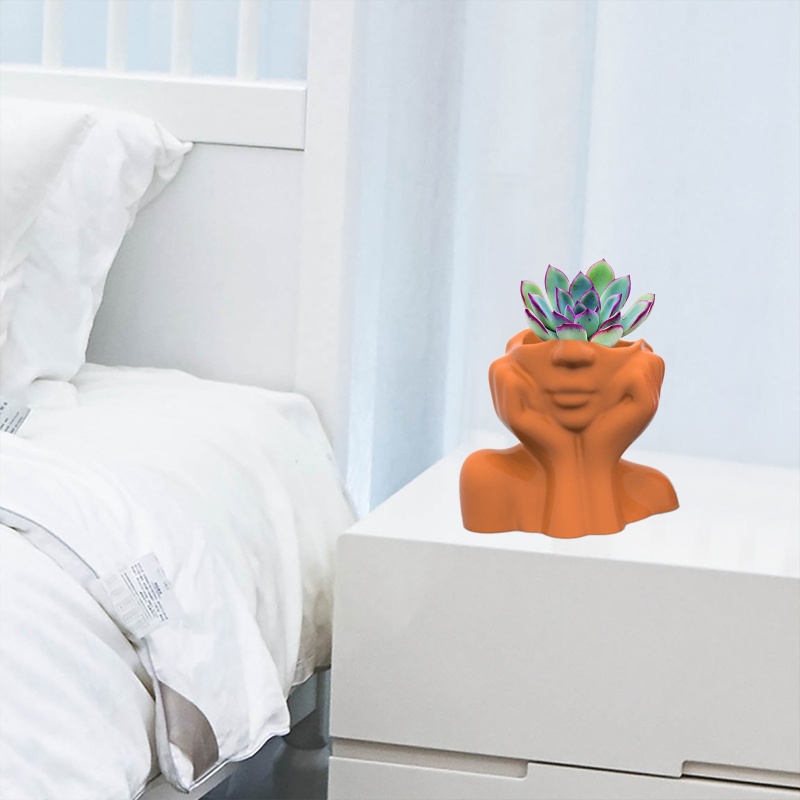 Sa Khuôn Làm Chậu Hoa / Cây Mọng Nước Trang Trí DIY