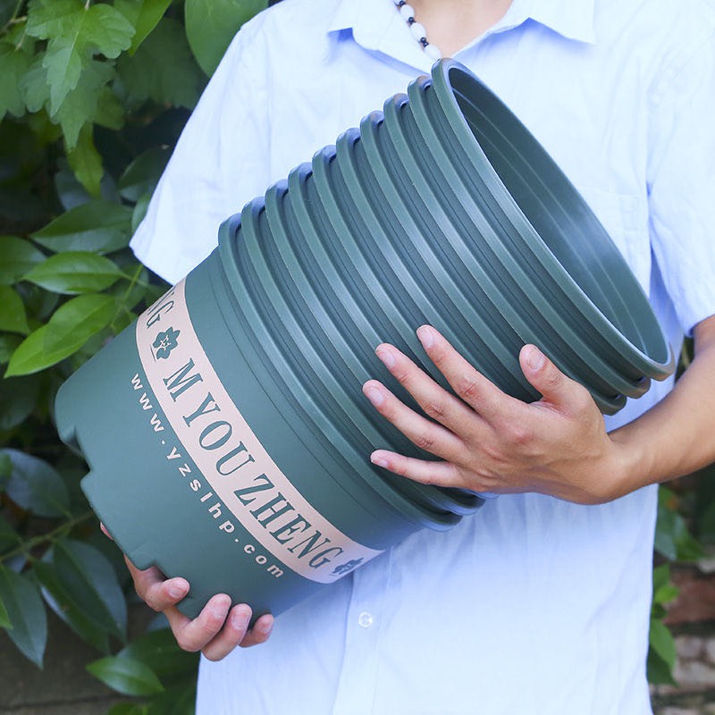 Chậu trồng cây size 20cm