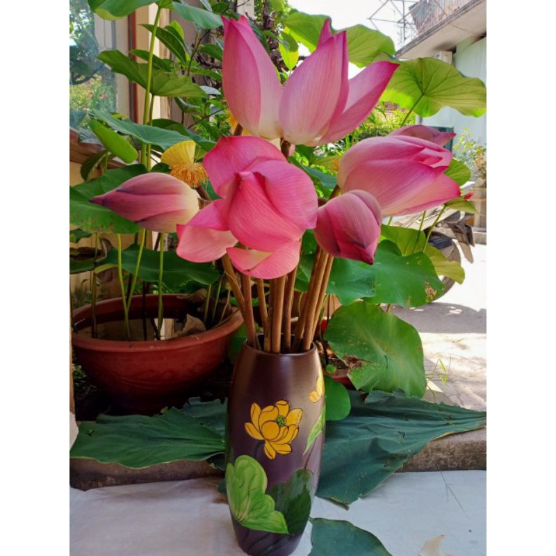 Lọ hoa vẽ sen trang trí decor Gốm Sứ Bát Tràng