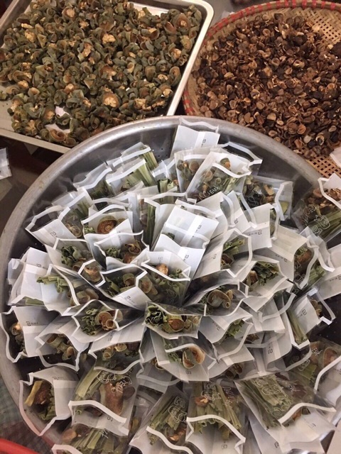 Set Trà Sâm Bí Đao 6 Vị - 9 Vị - Thanh Lọc Giải Nhiệt