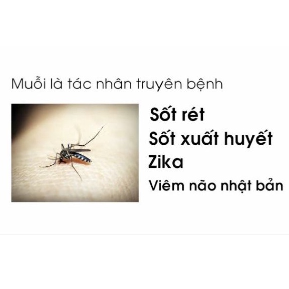 Chế phẩm trừ muỗi ICON 10CS 62,5ml. Hàng xịn Syngenta Thụy Sĩ. Hiệu quả 9 tháng, rất an toàn