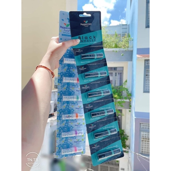 Ống Hít Mũi Bạc Hà Black Peppermint Field Lốc 6 ống Thái Lan