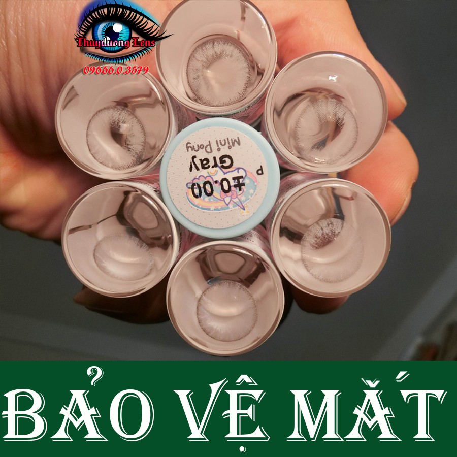 Kính áp trònPony Gray/Brown