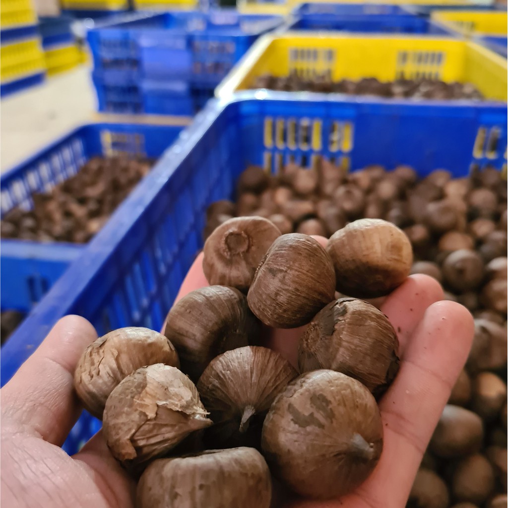 [500g] Tỏi hộp cô đơn (làm quà biếu, đẹp, lịch sự, sang trọng) | BigBuy360 - bigbuy360.vn