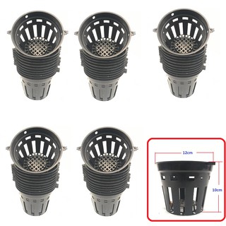 Set 50 chậu nhựa trồng lan số 1 đường kính 12cm cao 10cm