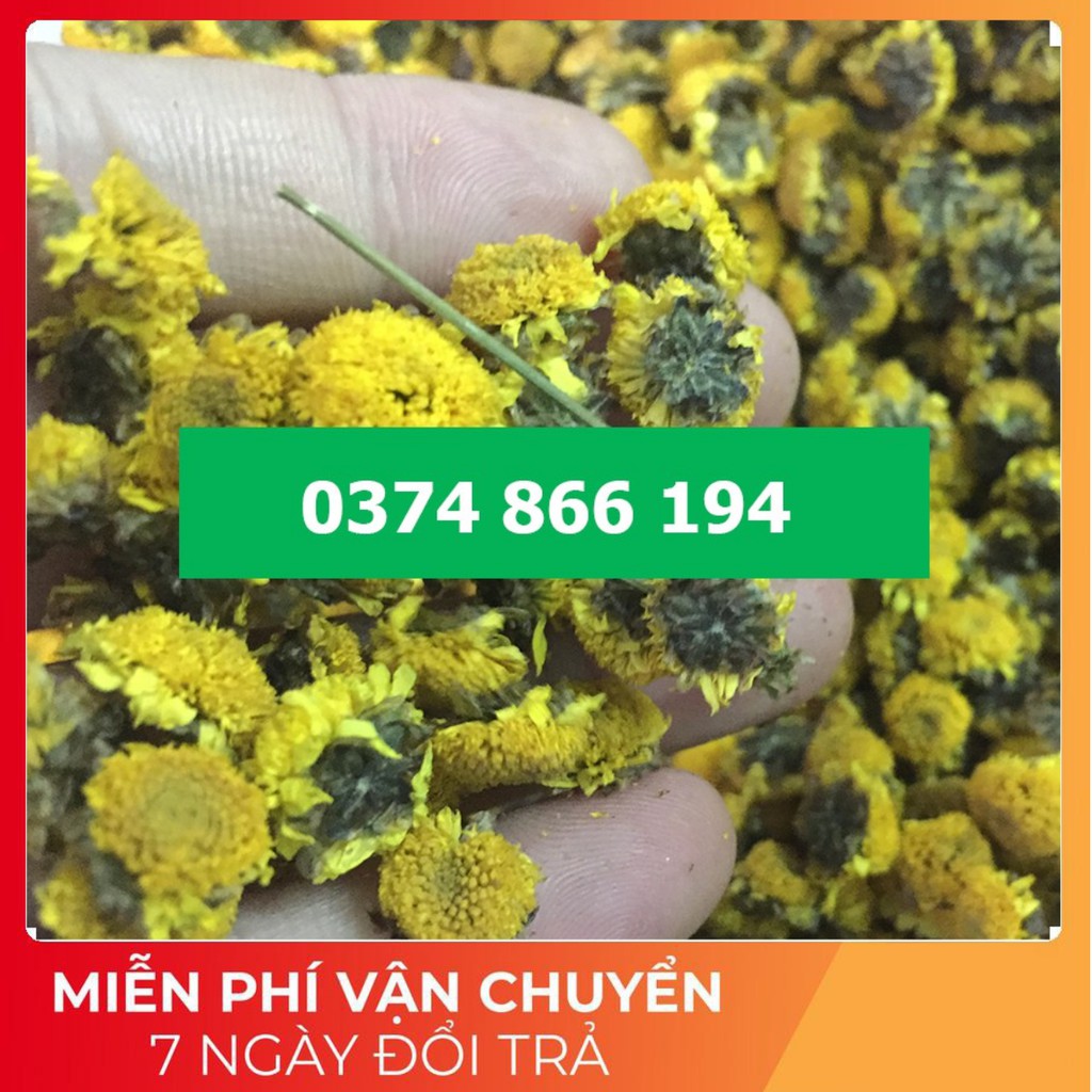 Trà Cúc hoa vàng sấy lạnh 100gram