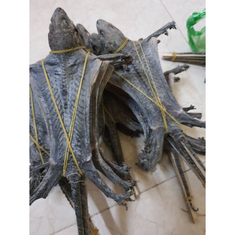 Tắc kè khô/1 con to | BigBuy360 - bigbuy360.vn