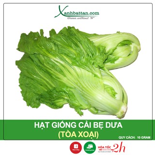 Hạt Giống Cải Bẹ Dưa (Tòa Xoại) Phú Nông Gói 10 Gram