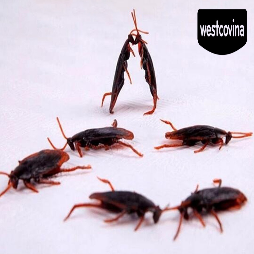 [Hot]☀ 20 Con Gián Giả Trang Trí Halloween