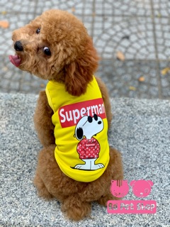 Áo ba lỗ hè cho chó/mèo 🐶😼