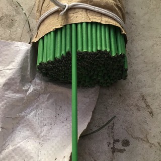 Que cắm lan, cây cảnh
