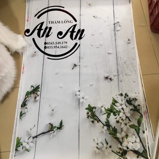 Vải nền hình 3d chụp ảnh