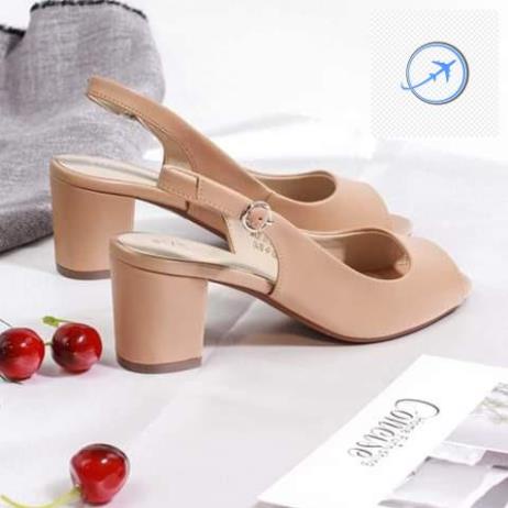 (BIG SIZE) GIÀY BIGSIZE cao gót 40 đến 44 đế vuông 5 cm