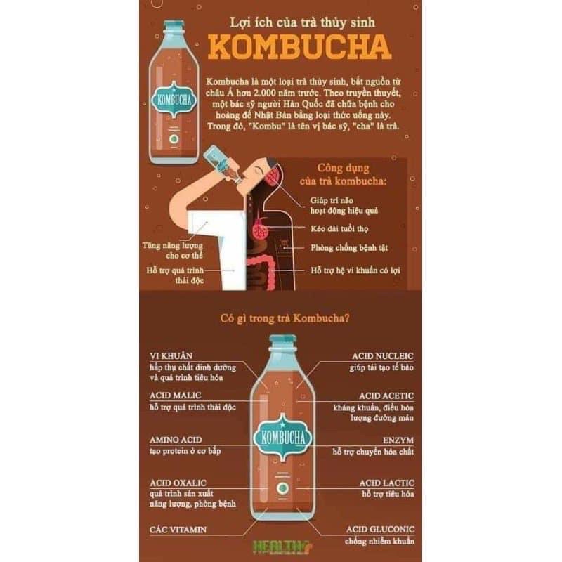 Combo SCOBY/KOMBUCHA Đầy Đủ kèm nước mồi nuôi cho người mới (7 món)