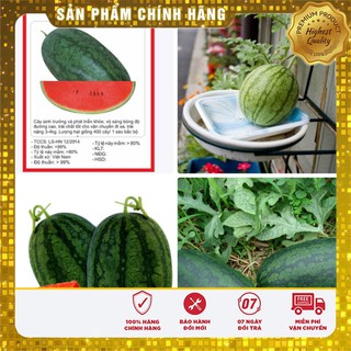 Hạt giống Dưa Hấu Đỏ 10 Hạt