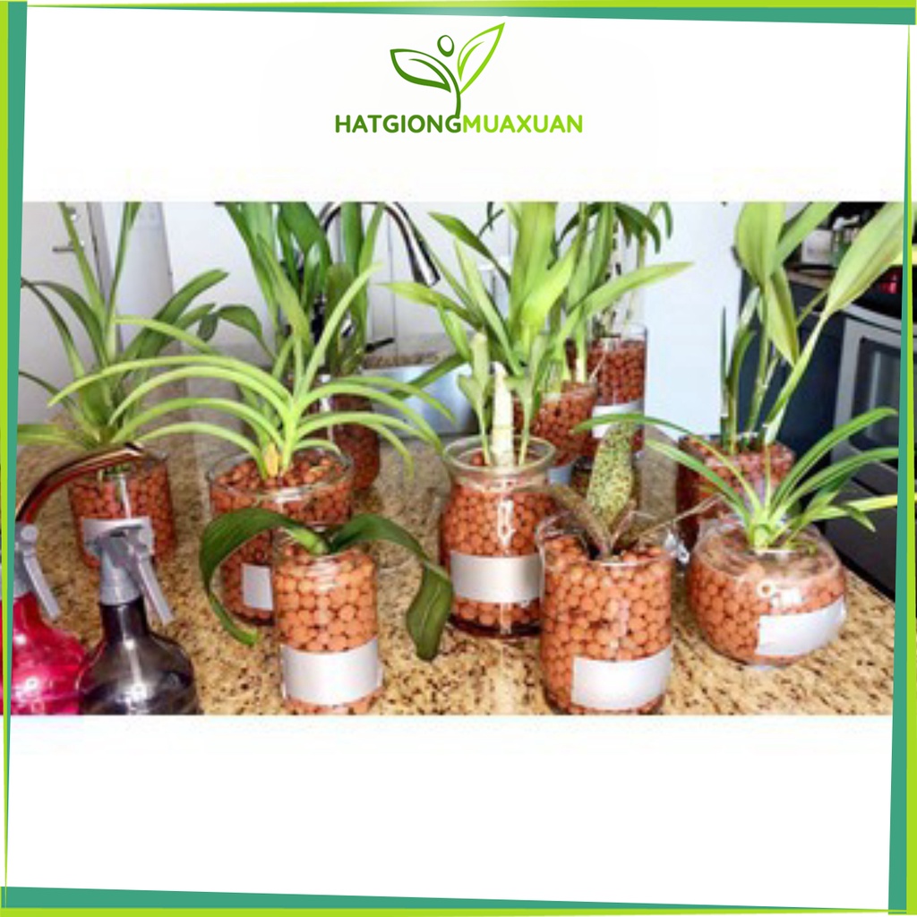 1kg Sỏi Nhẹ Trồng Lan, Rau Sạch hàng đẹp, phân phối chuyên nghiệp.