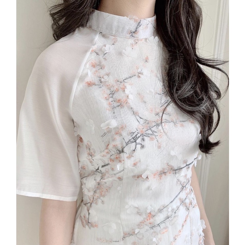 Áo dài tết áo dài cách tân tết dáng suông thêu hoa nổi 3D thời trang mùa xuân | BigBuy360 - bigbuy360.vn