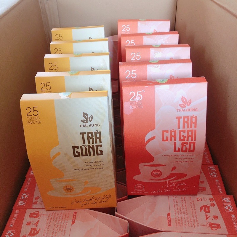 Combo Trà Phòng Bệnh Lúc Giao Mùa 5 Trà Cà Gai Leo và 5 Trà Gừng Phòng | BigBuy360 - bigbuy360.vn