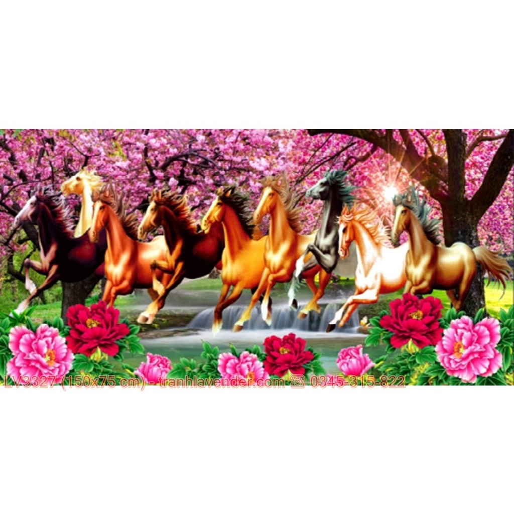 Tranh thêu mã đáo thành công KT:150x75cm,tranh chưa thêu.Tặng kéo và xỏ chỉ.