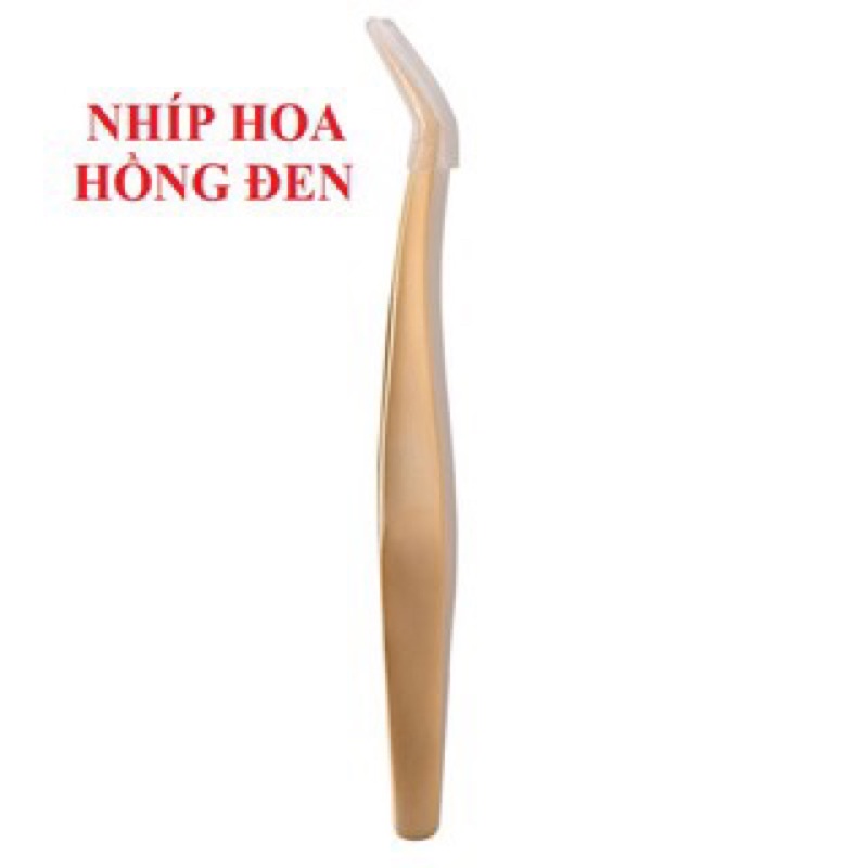 NHÍP HOA HỒNG ĐEN