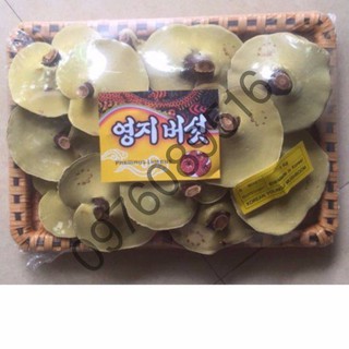 Nấm linh chi vàng chanh Hàn Quốc khay 1kg
