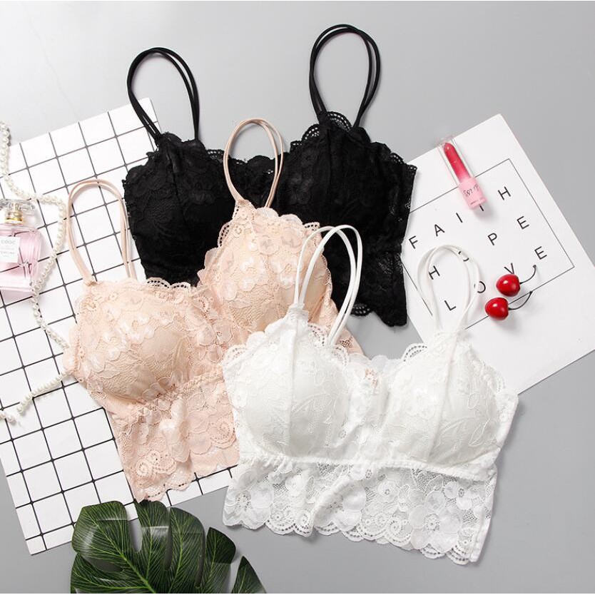 Áo Lót Có Mút Đệm Phối Ren Hở Lưng Size 14808