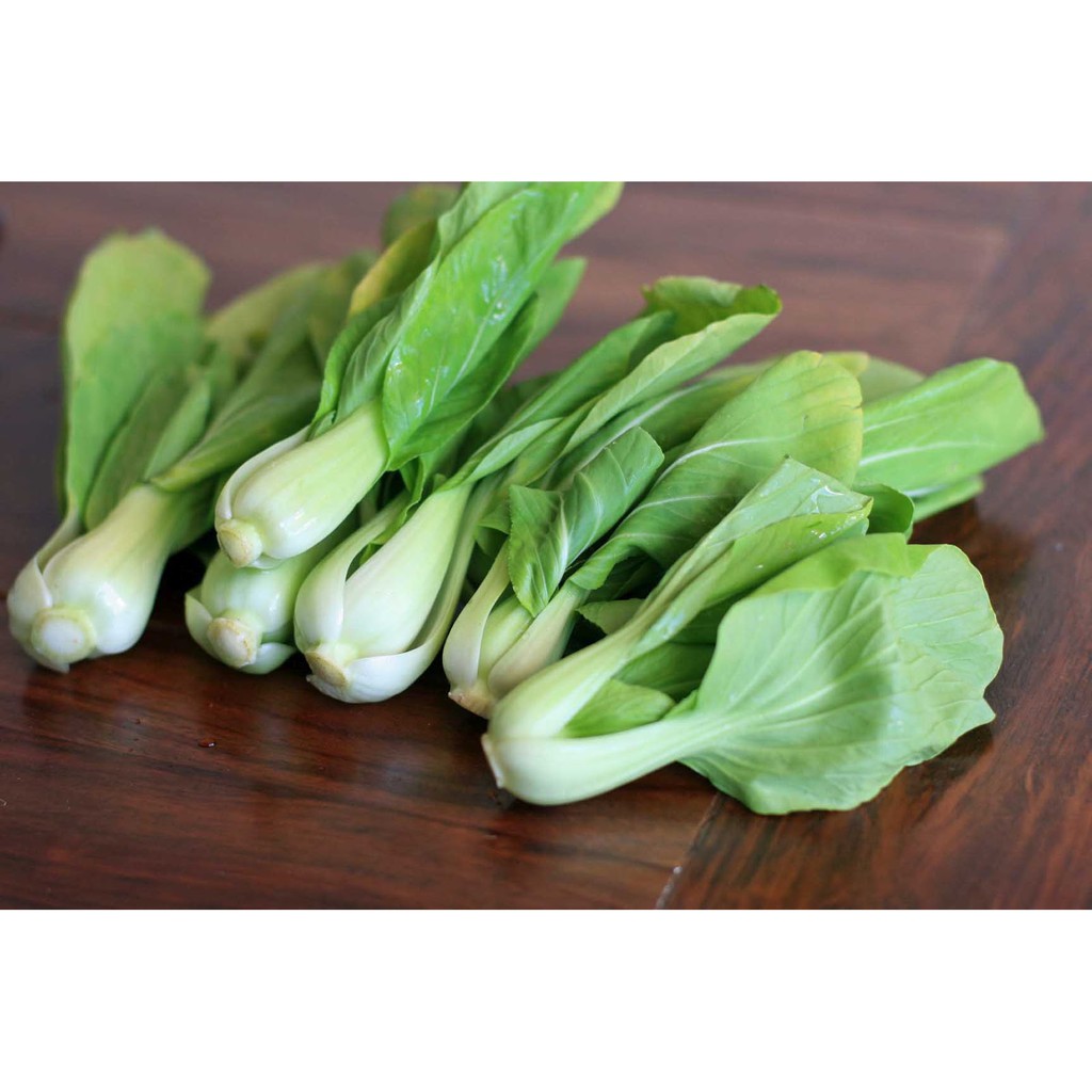 Gói 20g hạt giống cải thìa  cao sản - Nanuseeds