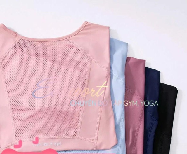 Áo Bodyfit Tay Dài Thể Thao Phong Cách Âu Mỹ Tập Tập Gym Yoga Aerobic Zumba Nhập Khẩu Evasport