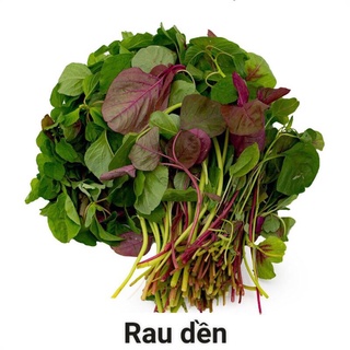 Rau dền xanh, sạch, tươi, ngon.