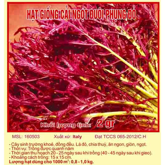 Hạt giống cải ngọt đuôi phụng đỏ