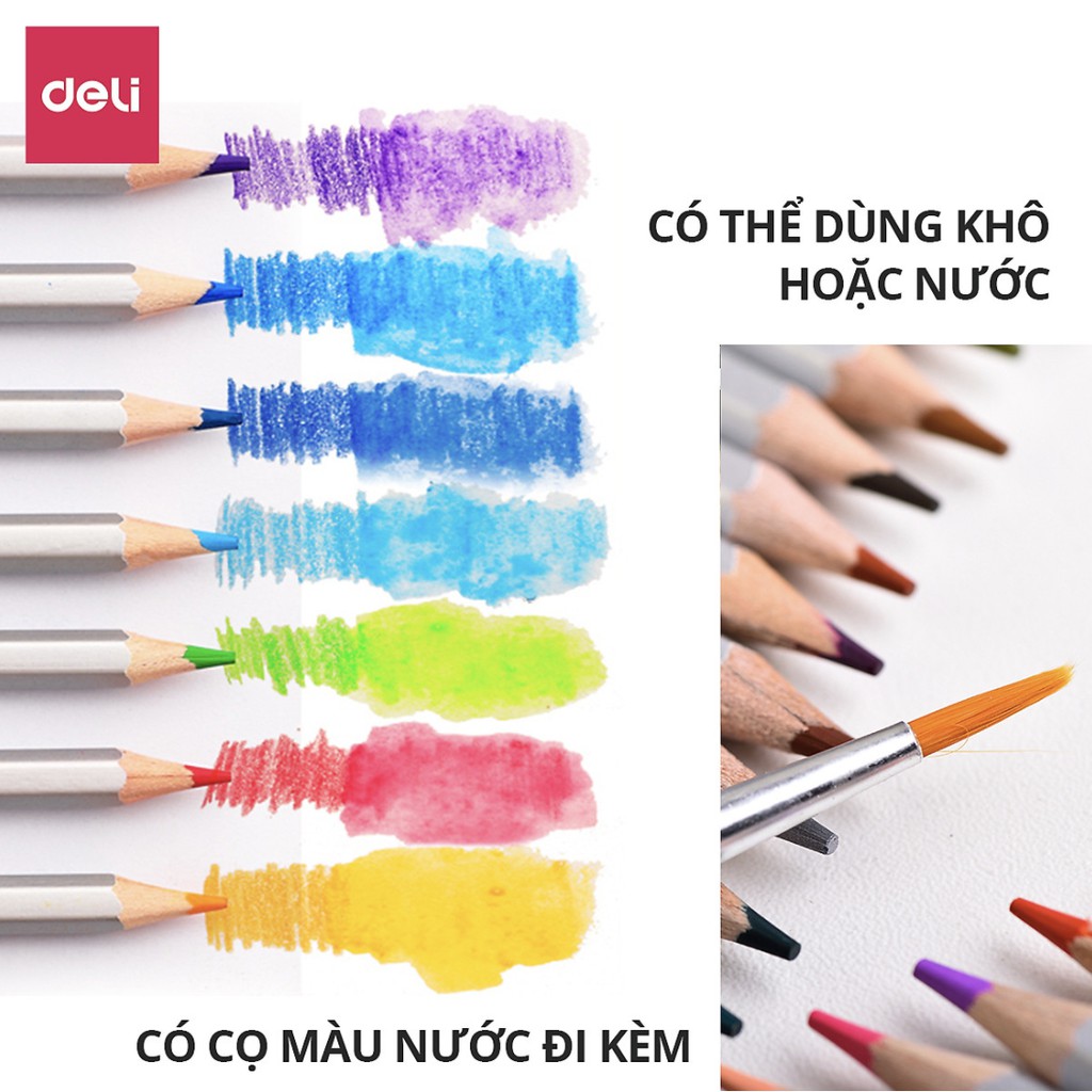 Bút chì màu nước cao cấp Deli - Có kèm cọ tán - Bộ 24/36/48 màu - 6521/6522/6523/6524 [Deli]