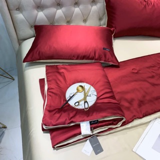 Sét lụa tencel 1 màu chăn tơ tằm 🌸