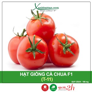 Hạt Giống Cà Chua T11 Phú Nông Gói 100 mg