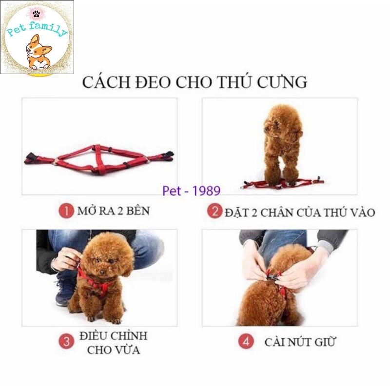 Dây dắt chó mèo -FamilyPetshop.vn