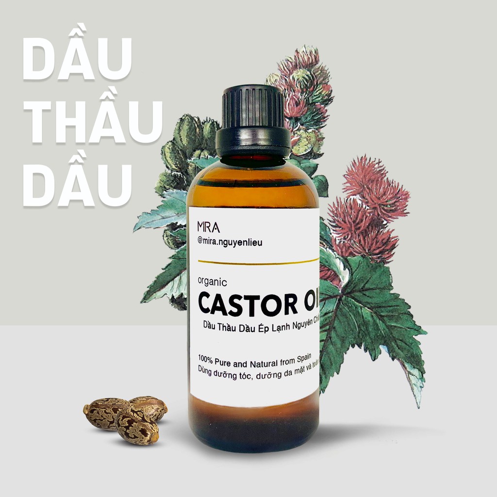 [Giao Nhanh] Dầu Thầu Dầu (castor oil) Organic Nguyên Chất 100ml dưỡng phục hồi tóc | BigBuy360 - bigbuy360.vn