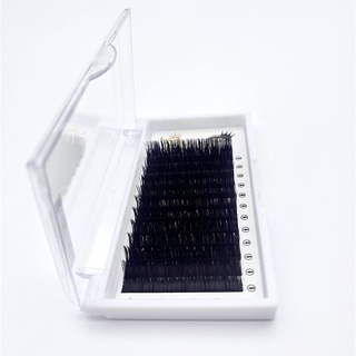 Mi khay flat royal eyelash lông chồn cao cấp /c cc d/ 0.20