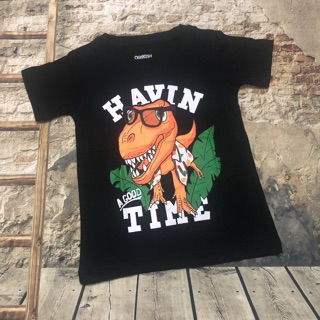 Áo thun bé trai 10kg -19kg