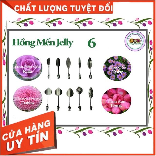 Bộ kim làm thạch rau câu 3D Hồng Mến mẫu 6-10 ( Đồ dùng làm bánh )