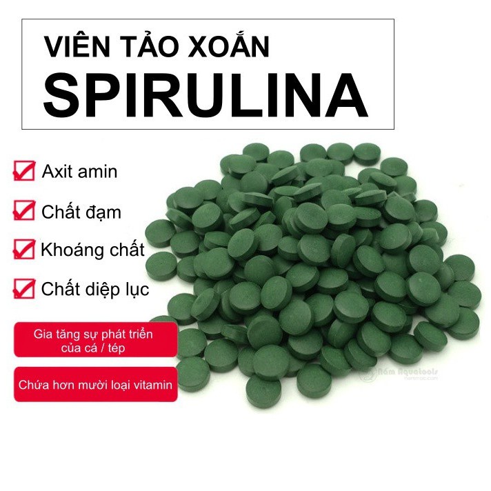 Tảo Viên Spirulina - Thức ăn tảo viên cho cá tép cảnh - Viên tảo dán cho cá cảnh - phụ kiện thủy sinh-shopleo