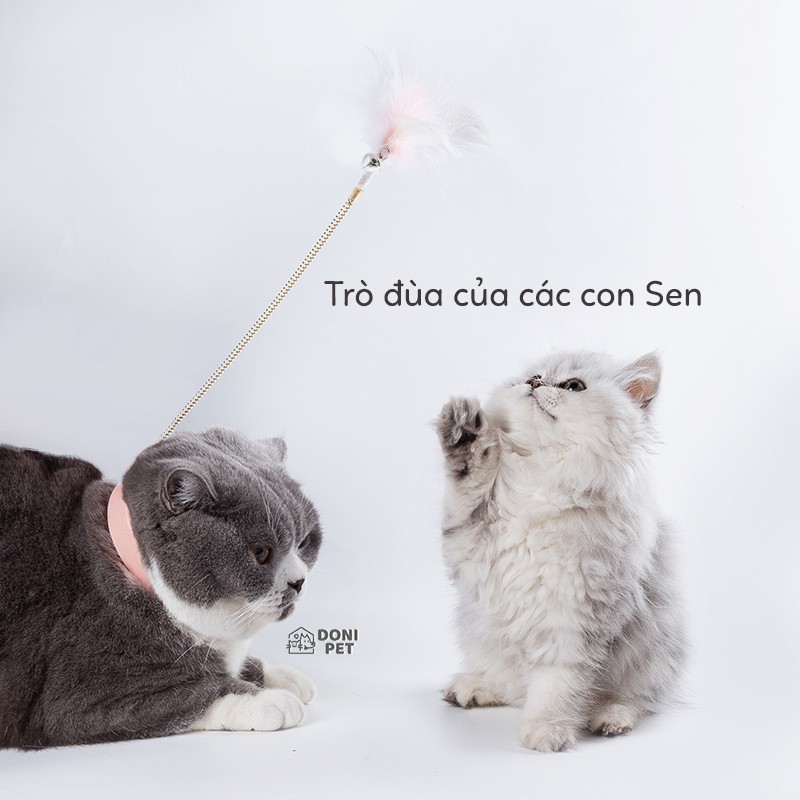 Cần câu mèo lông vũ gắn chuông đeo cổ loại cao cấp cho mèo cưng