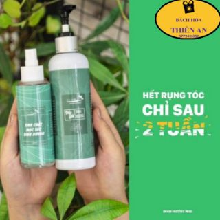Dầu gội dược liệu + tinh chất mọc tóc đinh hương nhu