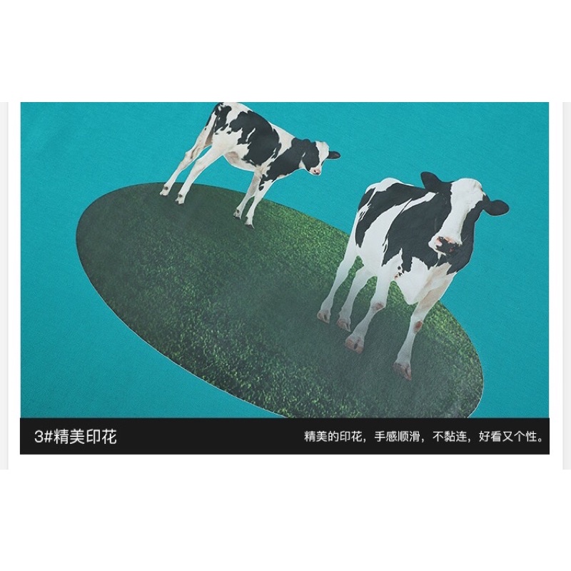 Áo phông nelly heybig sale (có sẵn) bò sữa