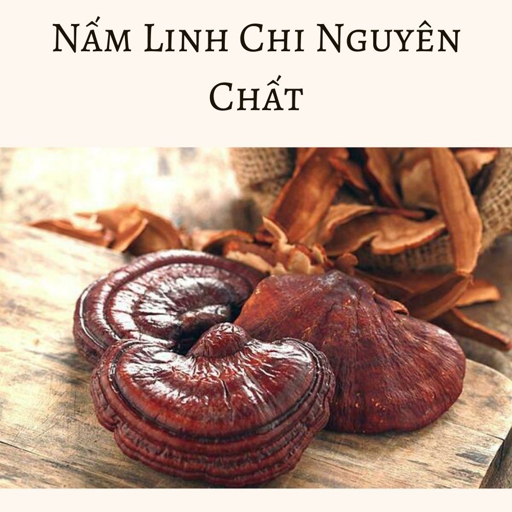 Nấm linh chi Đông y gia truyền Thông Cát (Since 1918) _ đẩy lùi nguy cơ bệnh tật, ngăn ngừa các bệnh nguy hiểm